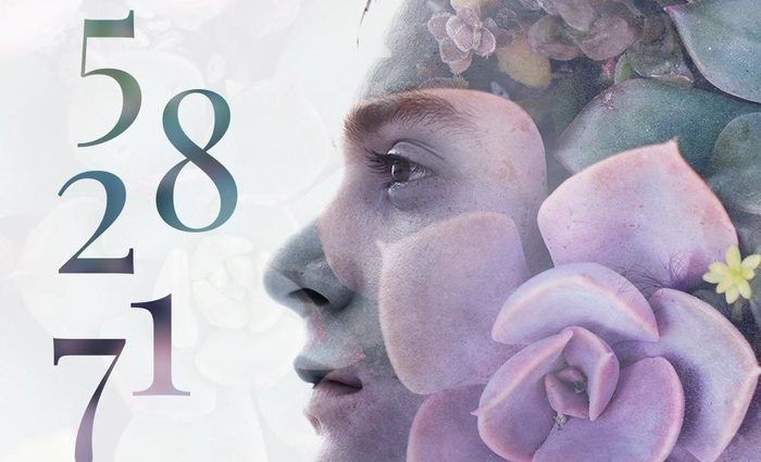 Янина Шляникова. Нумерологические квадраты. Эффективный метод работы с клиентами, собой и близкими. Практический мастер-