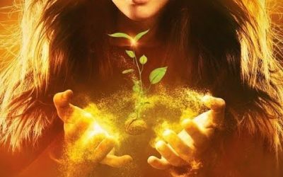 Янина Шляпникова. Друидские цепи. Исключение истинных причин болезней в Роду. Болезни и карма Рода