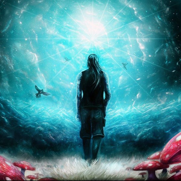 Янина Шляпникова. Магическое толкование и управление снами. Практический курс