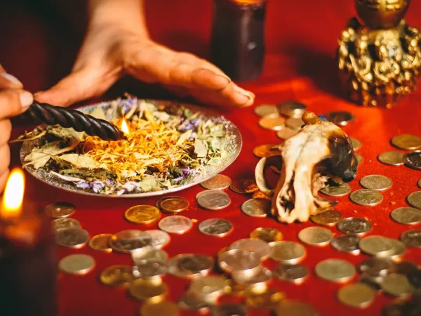 Юлия Серягина. Магия Денег на Высокой частоте