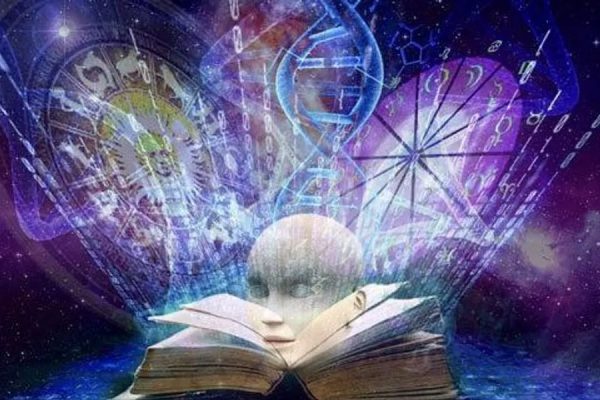 Янина Шляпникова. Хроники Акаши. Книга знаний и памяти магического мира и Вселенной