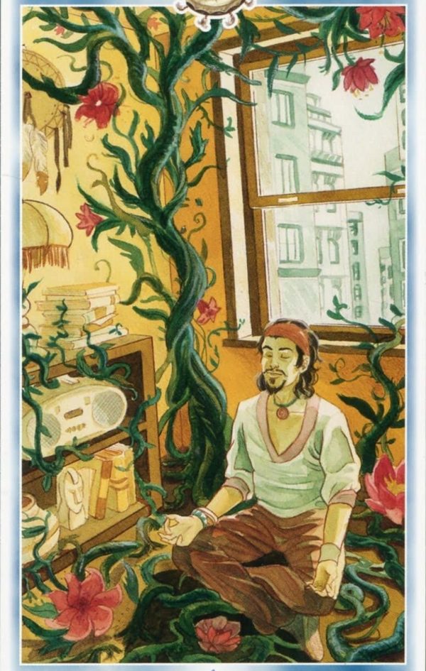 Янина Шляпникова. Шаманское Таро. Там, где живут Духи: Мастерство шаманского расклада. Авторский курс